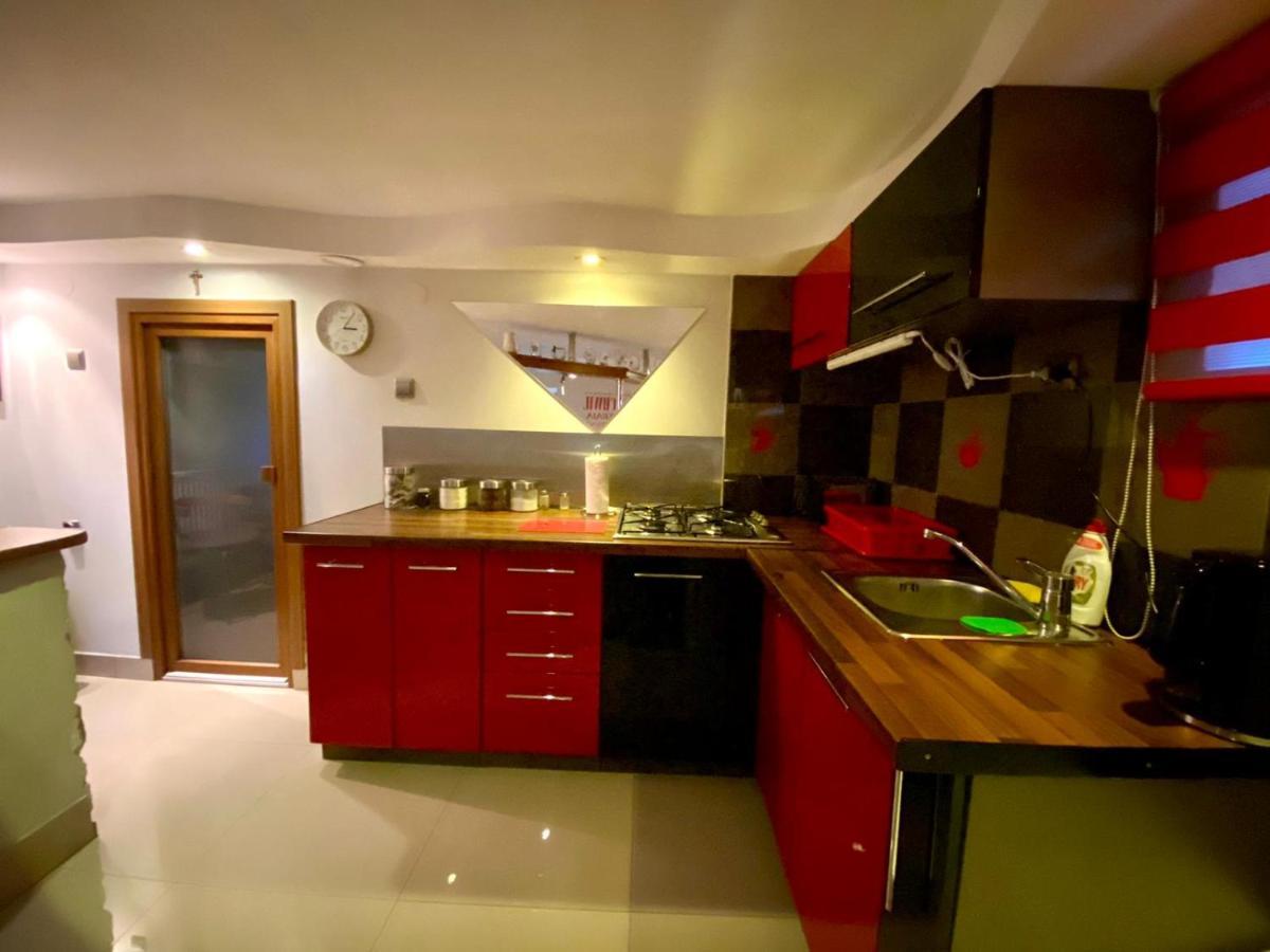 Bachowice Studio Roxi מראה חיצוני תמונה